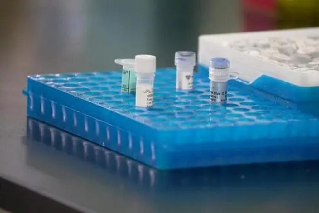 ������NЧ�� ���ϴ�W���Ƴ��׿��Ͳ�Һ�����NоƬ